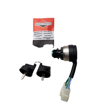 318307GS - SWITCH-KEY Briggs and Stratton Original Part