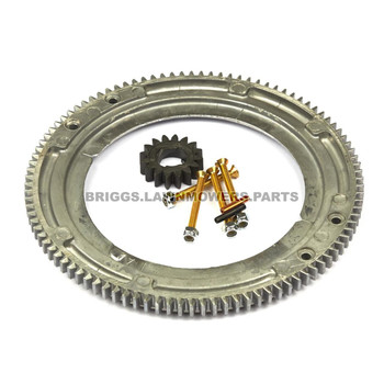 696537 - GEAR-RING Briggs and Stratton Original Part - Image 1
