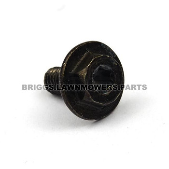 699854 - SCREW Briggs and Stratton Original Part - Image 1