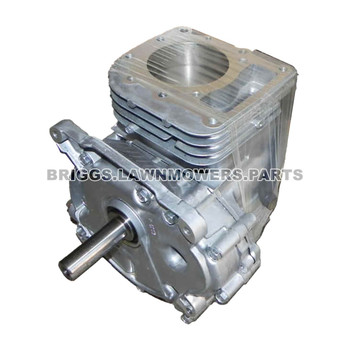 592055 - SB MODEL 21 AVS Briggs and Stratton - Image 1