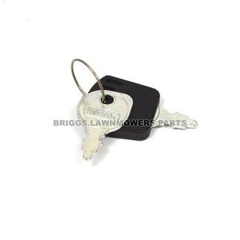1717163SM - KEY-IGNITION INDAK Briggs and Stratton Original Part - Image 1