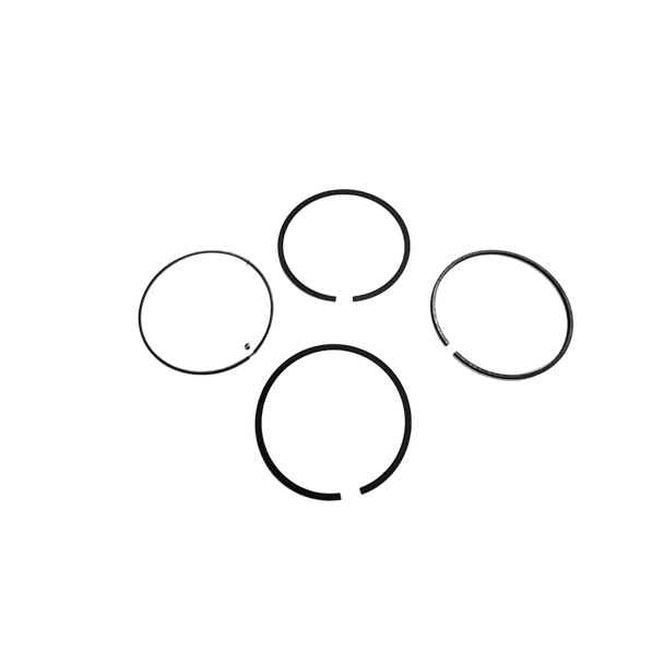 697698 - RING SET-020 Briggs and Stratton Original Part
