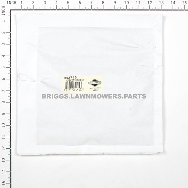 843713 - GASKET SET-VALVE Briggs and Stratton Original Part - Image 3