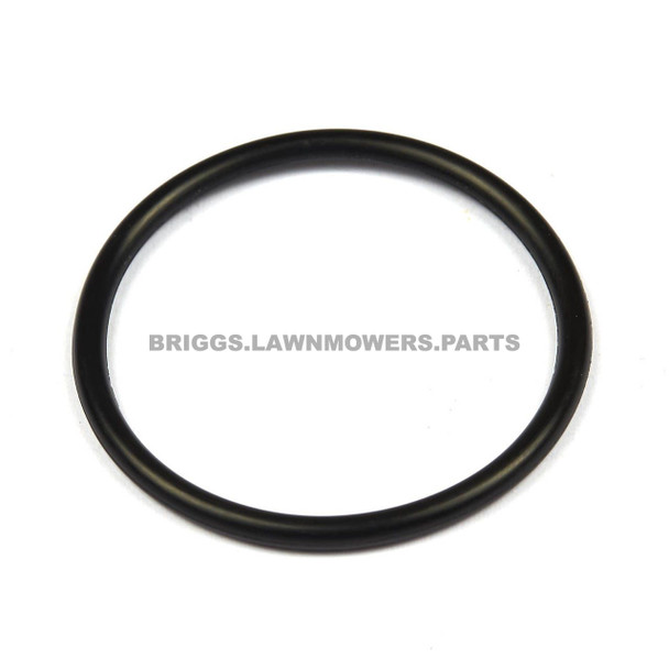 690589 - SEAL-O RING Briggs and Stratton Original Part - Image 1