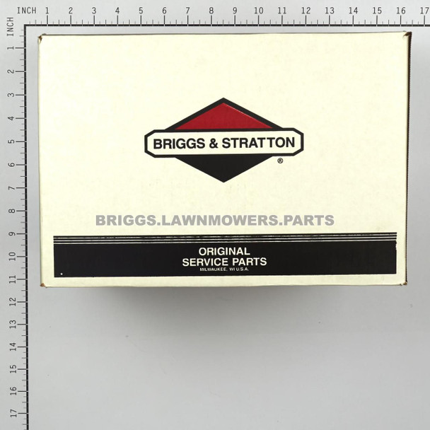 311966GS - PUMP Briggs and Stratton Original Part - Image 5
