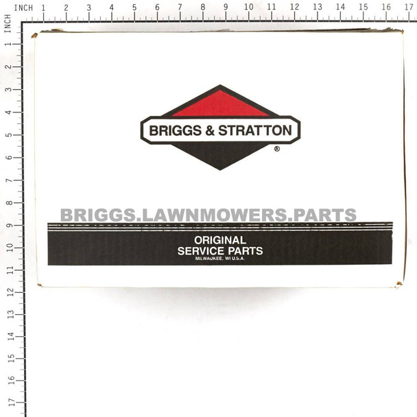 316064GS - PUMP Briggs and Stratton Original Part - Image 6