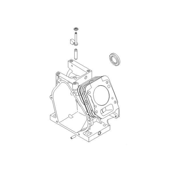699490 - CYLINDER ASSY Briggs and Stratton Original Part