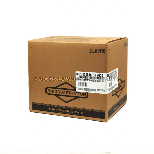 9P702-0046-F1 - ENGINE PACKED SINGLE CARTON Briggs and Stratton Original Part - Image 7