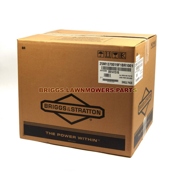 25M137-0019-F1 - ENGINE PACKED SINGLE CARTON Briggs and Stratton Original Part - Image 7