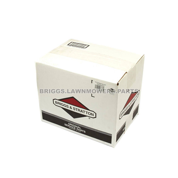 1733972YP - TRANSMISSION Briggs and Stratton Original Part - Image 2