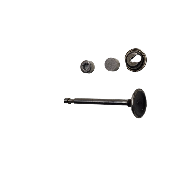 594095 - VALVE-EXHAUST Briggs and Stratton Original Part