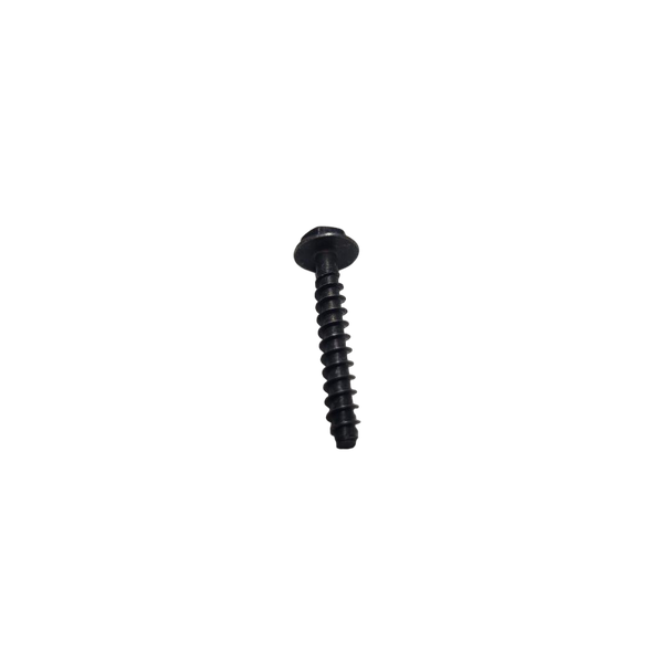 698425 - SCREW Briggs and Stratton Original Part