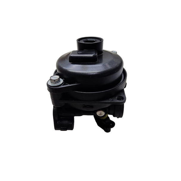 84001029 - CARBURETOR - Briggs and Stratton Original Part