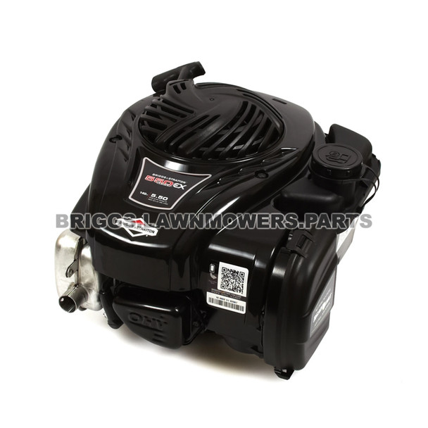 Briggs and Stratton 550EX Engine 09P702-0181-F1