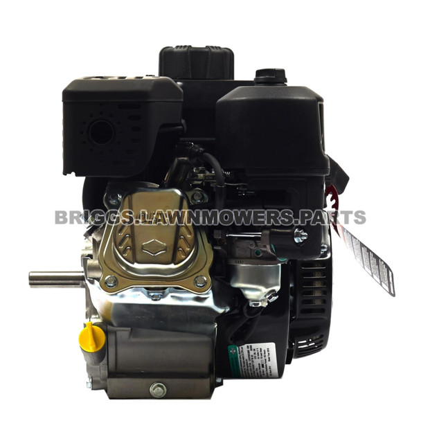 Briggs and Stratton 550 Series Engine 083132-1035-F1