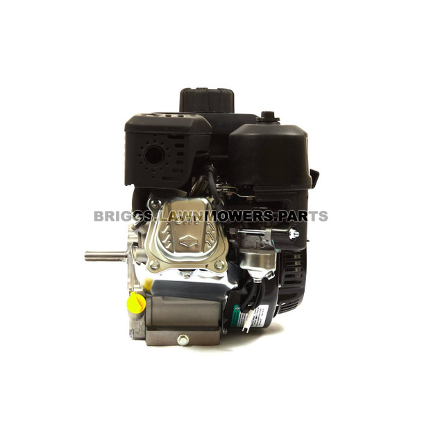 Briggs and Stratton 550 Series Engine 083132-1040-F1