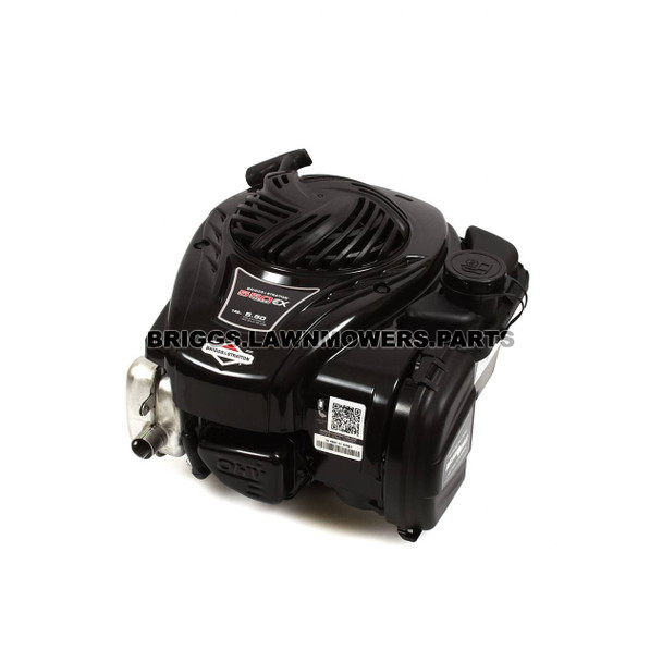 Briggs and Stratton 550E Series Engine 09P702-0046-F1