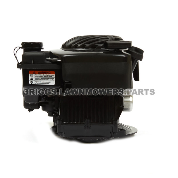 Briggs and Stratton 550E Series Engine 09P702-0198-F1