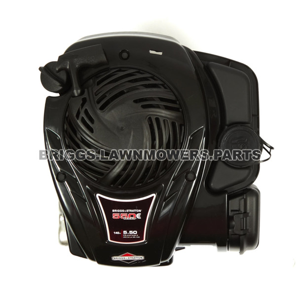 Briggs and Stratton 550E Series Engine 09P702-0198-F1
