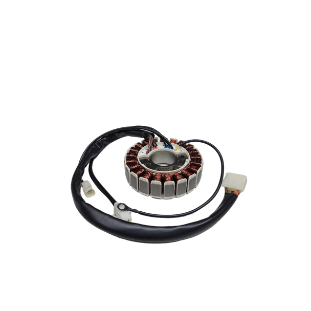 Briggs and Stratton OEM 314525GS - STATOR - Briggs and Stratton Original Part