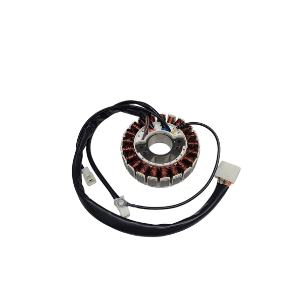 Briggs and Stratton OEM 314525GS - STATOR - Briggs and Stratton Original Part