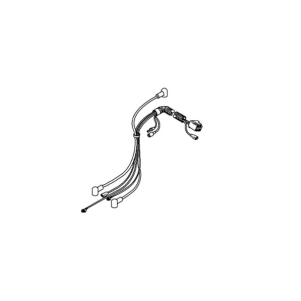 710645 - HARNESS-WIRING Briggs and Stratton Original Part