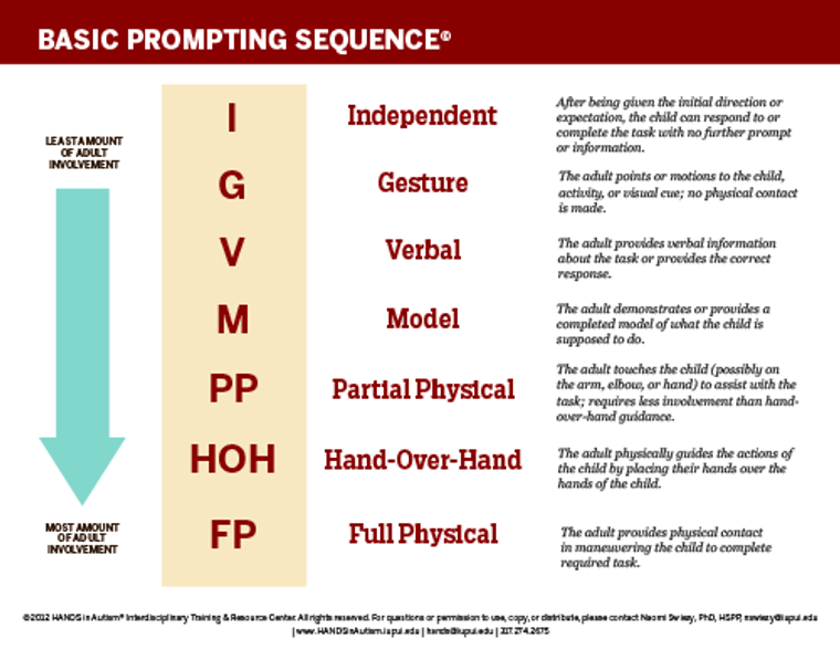 Basic Prompting Sequence