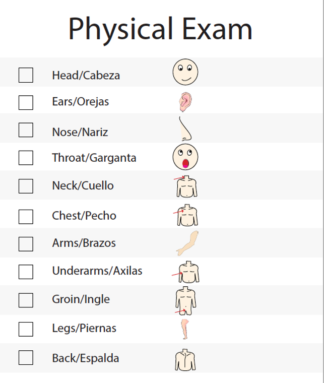 Physical Exam Chart