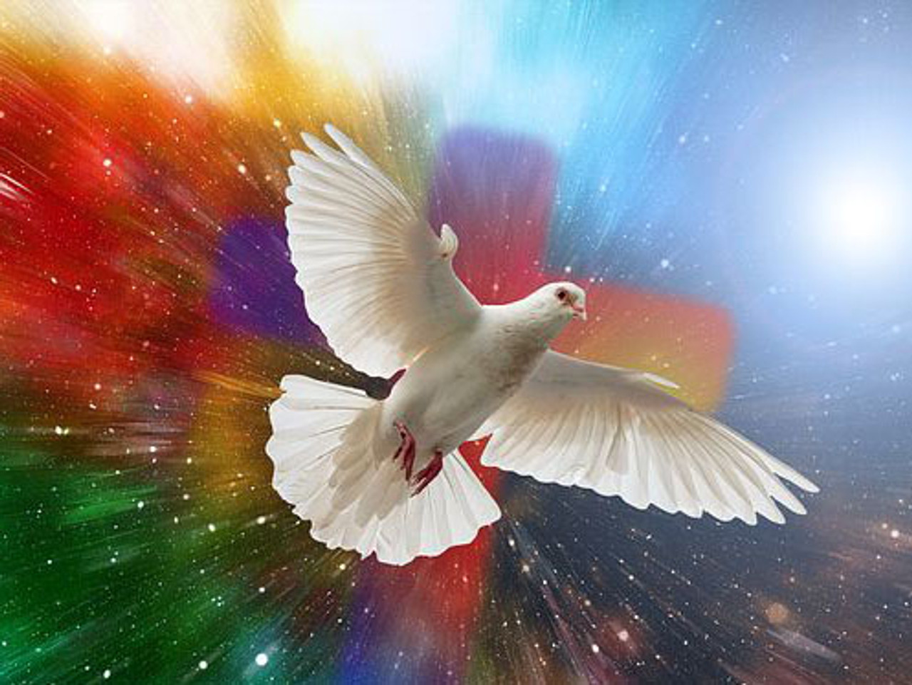  Diamond Painting White Dove Large Size Diamond Art