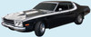 1973 Road Runner Decal, Sides & Roof Strobe Stripe Kit Reflective Colors