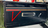 Woodgrain Door Panels & Rear Panels 69 Coronet 500 & R/T & SuperBee