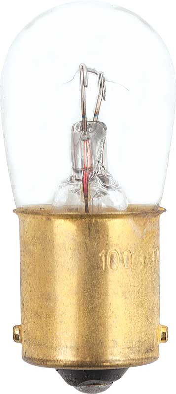 Bulb Individual #B1003