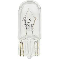 Bulb Individual #B158