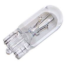 Bulb Individual #B161
