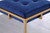 Nadia Square Padded Seat Counter Height Stool (Set of 2) Blue and Gold