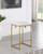Nadia Square Padded Seat Counter Height Stool (Set of 2) Beige and Gold