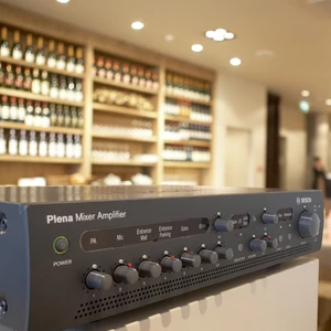 Public Address and Voice Alarm