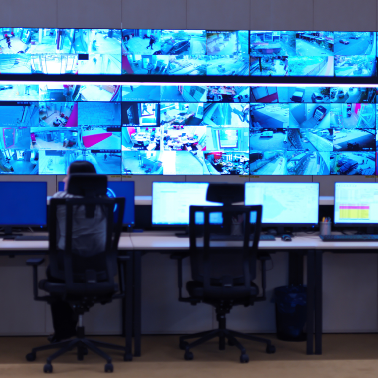 Video Security Systems