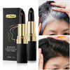 Cover Your Gray Hair Color Touch-Up Stick | Black