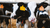 SOP Star Calf