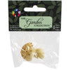 The Garden Collection Assorted Mushroom