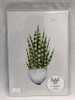 Snake Plant Wall Art A4