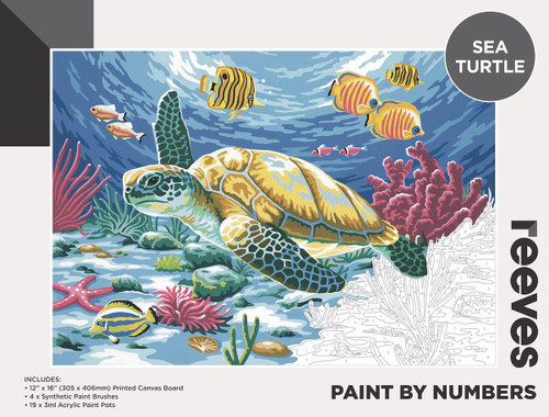Reeves Paint by Numbers 12x16 Sea Turtle