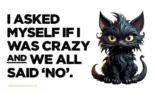 I asked myself if I was crazy... Fridge Magnet