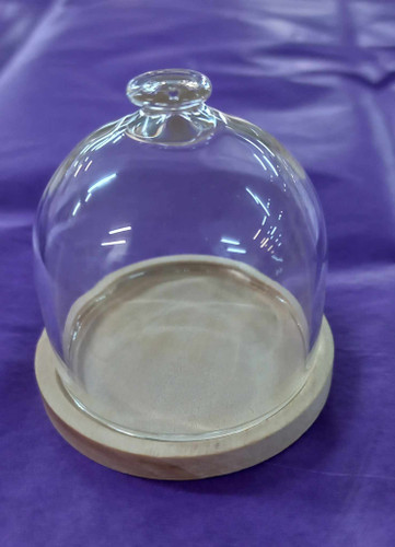 Tiny Glass Dome with glass handle