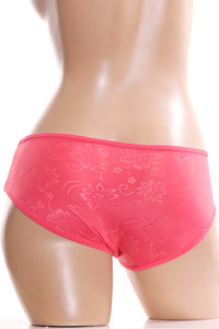 Panty-9750PQ_Plus size (12pc)