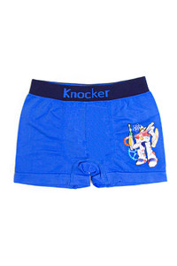 BOYS PANTY-BPS017 (12pc)