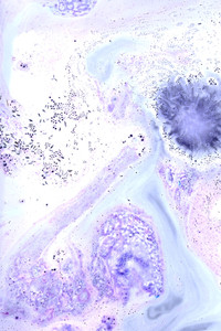 LAVENDER LOVER FIZZY BATH BOMB