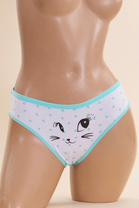 ASSORTED PATTERN CAT GRAPHIC PANTY-F521 (5pc)