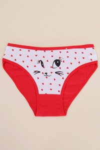 ASSORTED PATTERN CAT GRAPHIC PANTY-F521 (5pc)